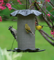 Plow & Hearth Bird Feeders | Yard & Garden Acrylic And Stainless Steel Hanging Nyjer Bird Feeder - Red