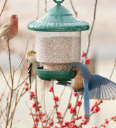 Plow & Hearth Bird Feeders | Yard & Garden Clinger Hanging Bird Feeder - Green