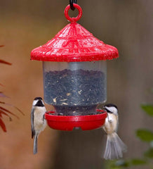 Plow & Hearth Bird Feeders | Yard & Garden Clinger Hanging Bird Feeder - Green