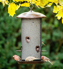 Plow & Hearth Bird Feeders | Yard & Garden Giant Combo All-Metal Screen Bird Feeder