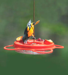 Plow & Hearth Bird Feeders | Yard & Garden Oriolefest Oriole Feeder