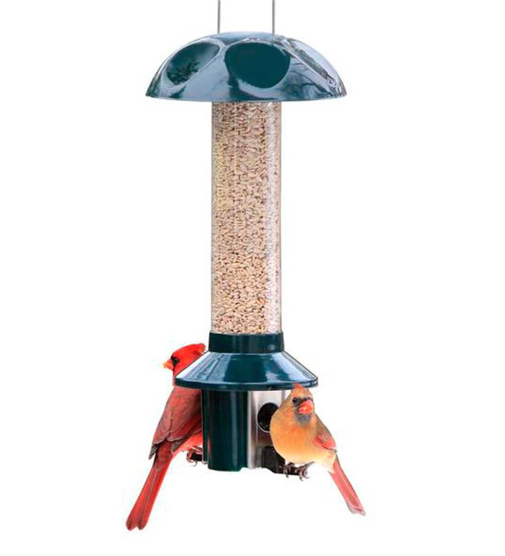Plow & Hearth Bird Feeders | Yard & Garden Pestoff Sunflower Mixed Seed Pest Proof Bird Feeder