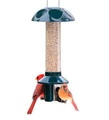 Plow & Hearth Bird Feeders | Yard & Garden Pestoff Sunflower Mixed Seed Pest Proof Bird Feeder