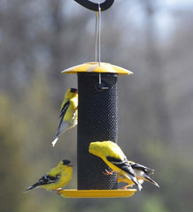 Plow & Hearth Bird Feeders | Yard & Garden Petite Yellow Thistle Seed Bird Feeder - Yellow