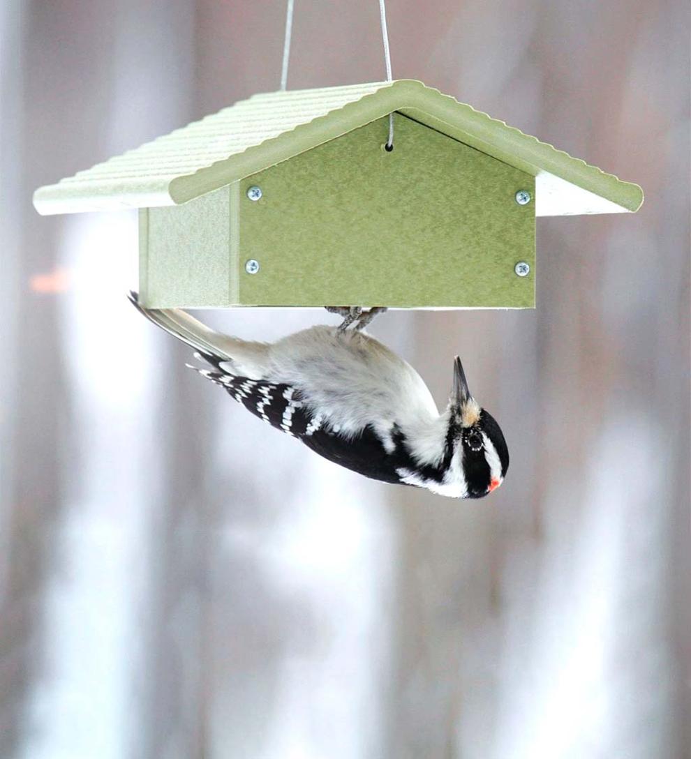 Plow & Hearth Bird Feeders | Yard & Garden Recycled Plastic Poly-Lumber Upside-Down Suet Feeder