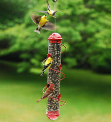 Plow & Hearth Bird Feeders | Yard & Garden Red Spiral-Perch Finch Bird Feeder - Red
