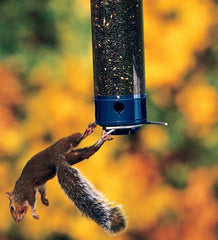 Plow & Hearth Bird Feeders | Yard & Garden Yankee Whipper Squirrel Proof Bird Feeder