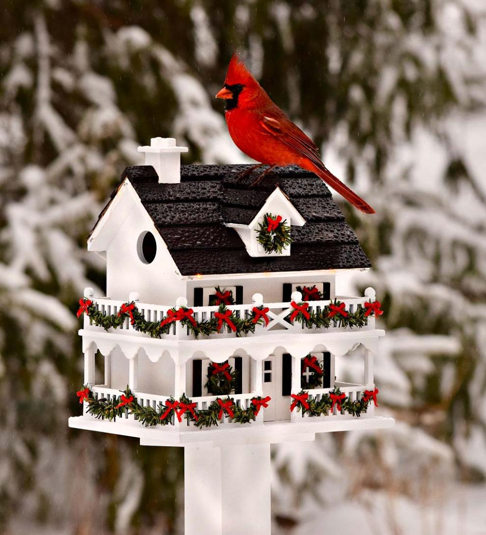 Plow & Hearth Birdhouses | Yard & Garden Lighted Holiday Colonial Cottage Birdhouse And Pedestal Pole Set