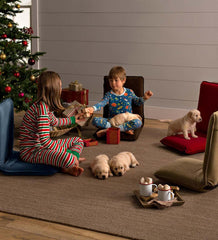 Plow & Hearth Chairs & Rockers | Indoor Living Multiangle Floor Chair With Adjustable Back