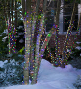 Plow & Hearth Deck & Patio Accents | Outdoor Living Multifunction Twinkle String Lights With Timer, Black Wire With White Or Multi Leds