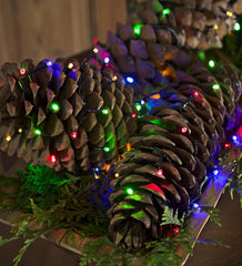 Plow & Hearth Deck & Patio Accents | Outdoor Living Multifunction Twinkle String Lights With Timer, Black Wire With White Or Multi Leds