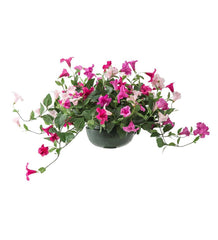 Plow & Hearth Faux Flowers & Plants | Indoor Living Faux Petunia Urn Filler - Purple