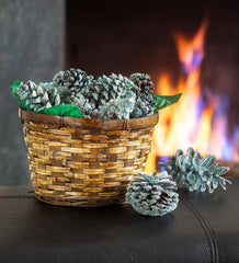 Plow & Hearth Fire Starters & Fatwood | Fireplace & Hearth Color-Changing Fireplace Color Cones