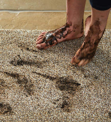 Plow & Hearth Garden Accents | Indoor Living Cotton/Microfiber My Mat Dirt Trapping Mud Rug