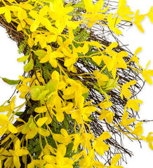 Plow & Hearth Garden Accents | Indoor Living Faux Forsythia Wreath On Rattan Base