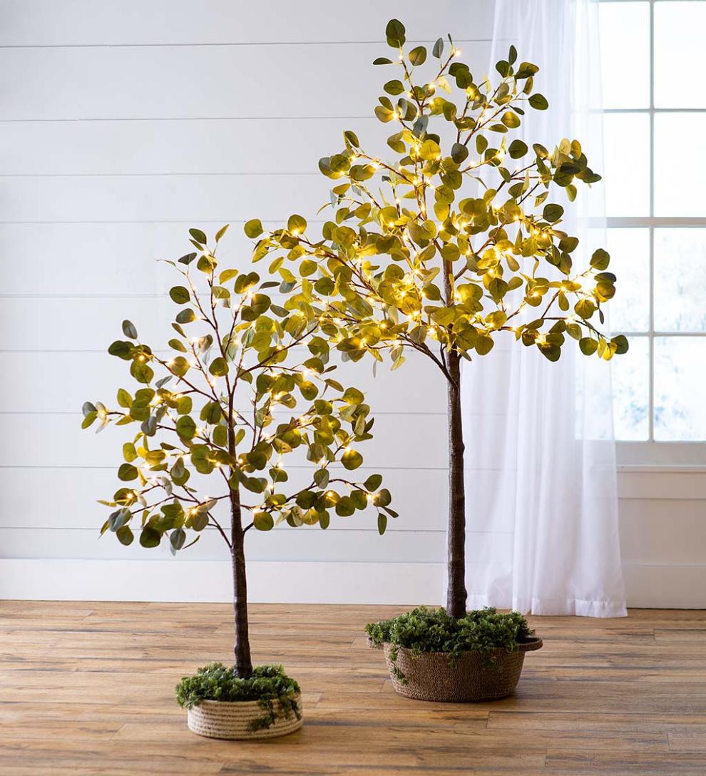 Plow & Hearth Garden Accents | Indoor Living Indoor/Outdoor Electric Lighted Eucalyptus Trees