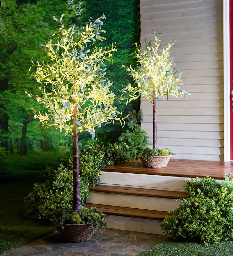 Plow & Hearth Garden Accents | Indoor Living Lighted Faux Olive Tree With Warm White Led Lights