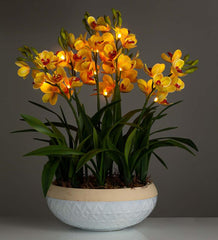 Plow & Hearth Garden Accents | Indoor Living Lighted Faux Yellow Cymbidium Orchid Arrangement With Timer