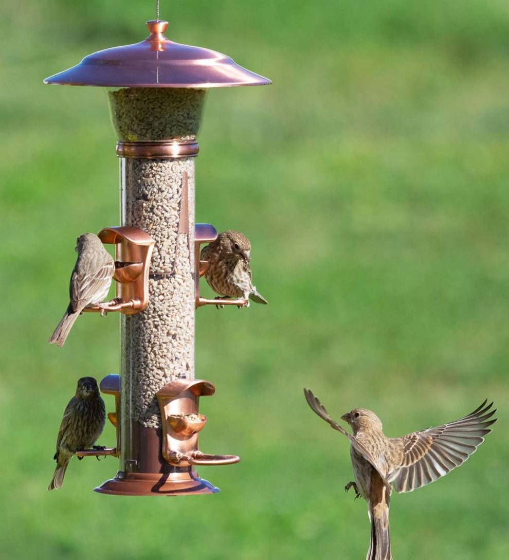 Plow & Hearth Garden Accents | Yard & Garden Copper-Finished Hanging Tube Bird Feeder