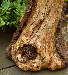 Plow & Hearth Garden Accents | Yard & Garden Succulent Bird Nest Tree Stump Birdbath