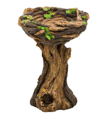 Plow & Hearth Garden Accents | Yard & Garden Succulent Bird Nest Tree Stump Birdbath