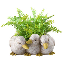 Plow & Hearth Home Accents | Indoor Living Duckling Triplets Planter