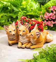 Plow & Hearth Home Accents | Indoor Living Fox Kit Triplets Planter
