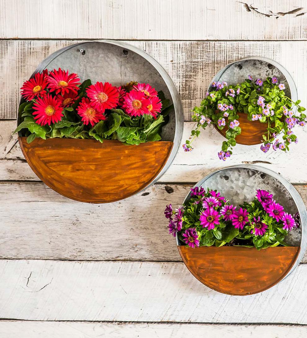 Plow & Hearth Home Accents | Indoor Living Galvanized Metal Round Wall Planter