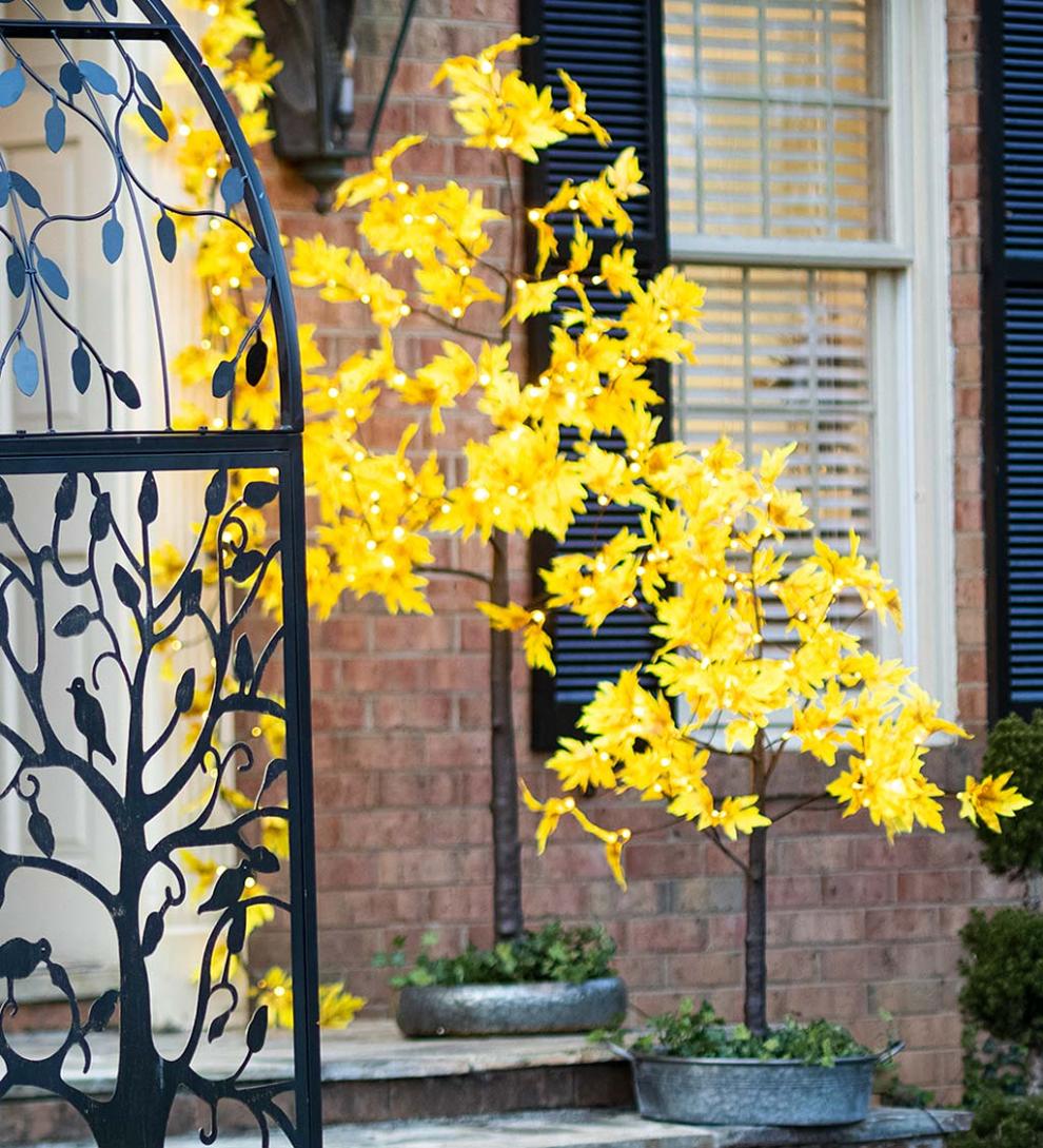 Plow & Hearth Home Accents | Indoor Living Indoor/Outdoor Electric Lighted Golden Sugar Maple Trees