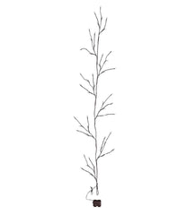 Plow & Hearth Home Accents | Indoor Living Indoor/Outdoor Globe Lighted Branch Garland With 48 Lights