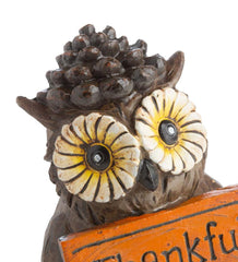 Plow & Hearth Home Accents | Indoor Living Indoor/Outdoor Harvest Owls, Set Of 3