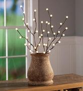 Plow & Hearth Home Accents | Indoor Living Indoor/Outdoor Lighted Mini Globe Branches, Set Of 2