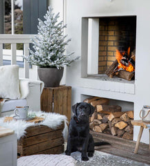 Plow & Hearth Home Accents | Indoor Living Lighted Potted Snow-Dusted Norway Spruce