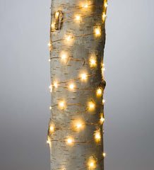 Plow & Hearth Home Accents | Indoor Living Multifunction Twinkle String Lights With 100 Micro Leds