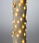 Plow & Hearth Home Accents | Indoor Living Multifunction Twinkle String Lights With 50 Micro Leds