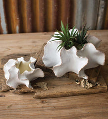 Plow & Hearth Home Accents | Indoor Living Organic Ceramic Planters Set Of 2