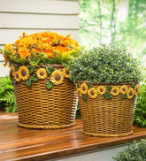 Plow & Hearth Home Accents | Indoor Living Sunflower Basket Planters, Set Of 2