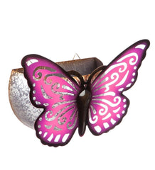 Plow & Hearth Home Accents | Indoor Living Wall Mounted Butterfly Planter - Purple