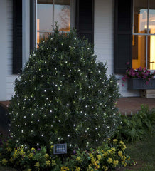 Plow & Hearth Home Accents | Indoor Living White Led Solar String Lights