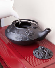 Plow & Hearth Wood Stove Accessories | Fireplace & Hearth Cast Iron Wood Stove Kettle Steamer With Pine Cone Design - Black