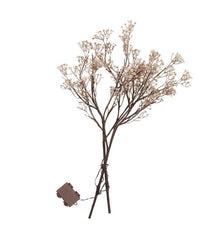 Plow & Hearth Home Accents | Indoor Living Indoor/Outdoor Lighted Baby'S Breath Branches, Set Of 2