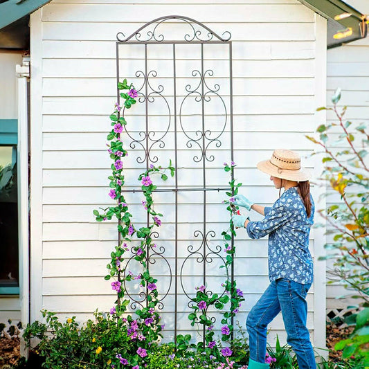 Iron Montebello Tall Trellis