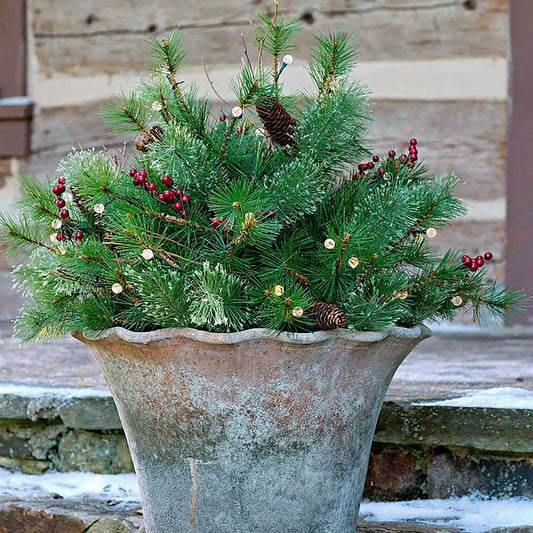 Lighted Urn Filler