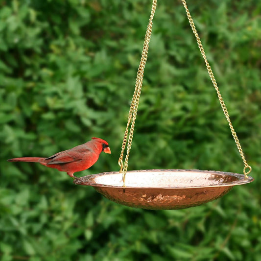 Pure Copper Hanging Birdbath on 17" Long Brass Chain with Hook