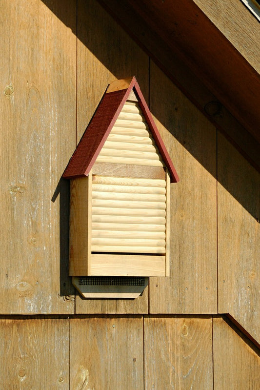 Bat Lodge