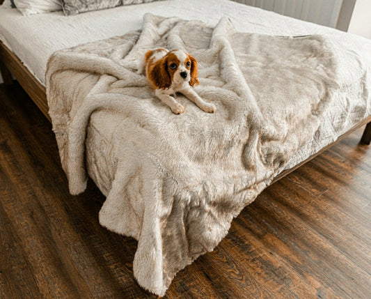 PupProtector™ Short Fur Waterproof Throw Blanket - White with Brown Ac