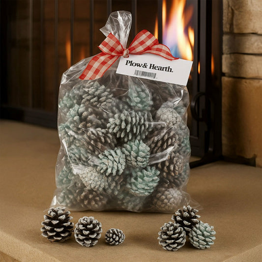 Color-Changing Fireplace Color Cones, 6 lb. Bag