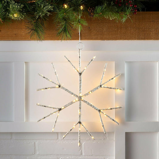 Lighted Birch Branch Snowflake Hanging Accent