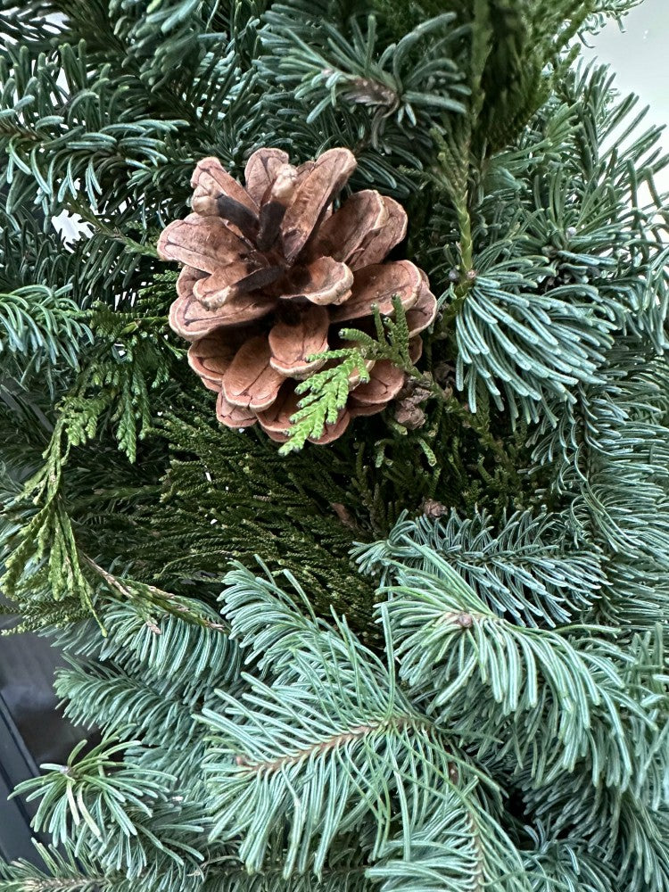 Noble Fir and Red Berries Fresh Garland, 12'