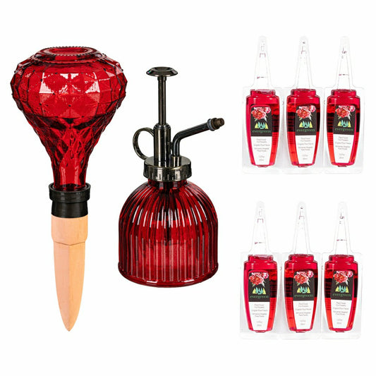 Glass Watering Set, including One Mister, One Watering Globe and 6 Pla